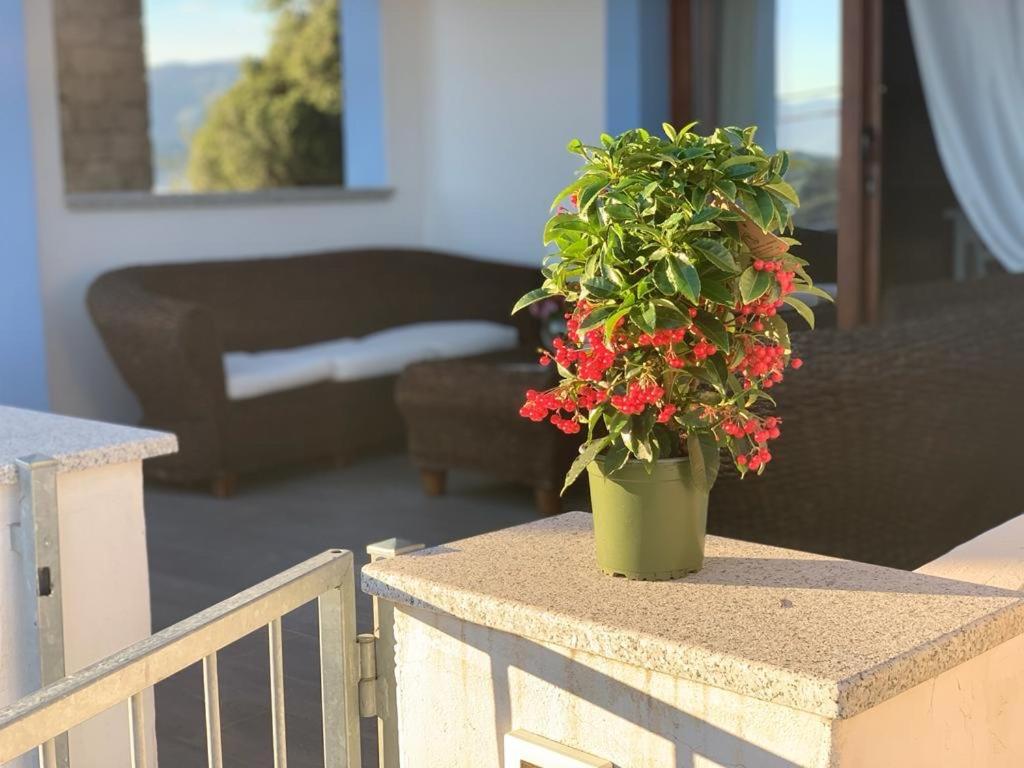 La Maison de la Mer Posada  Extérieur photo